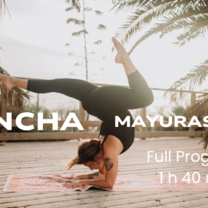 PAKIET PREMIUM: Pincha program + ebook ABC PINCHA + 1 lekcja ONLINE