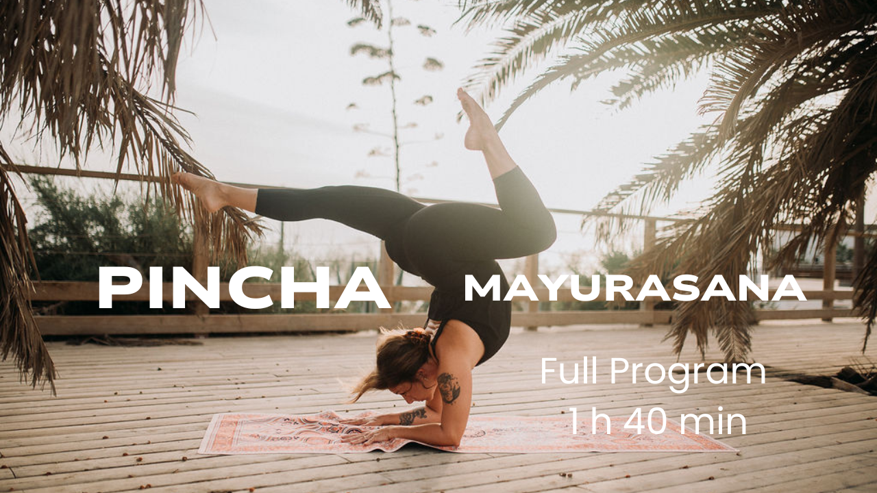 Pincha: pełny program dający sukces w nauce pozycji