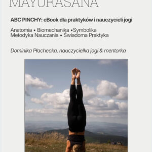 PAKIET: Pincha program + ebook ABC PINCHA dla nauczycieli i praktyków